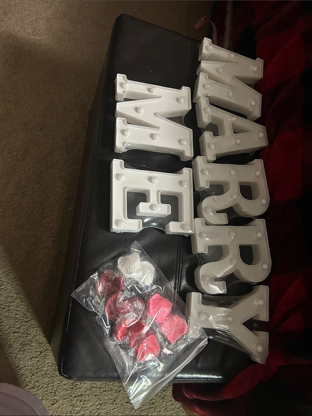 Large LED White Marquee Letters "MARRY ME" with rose Petals